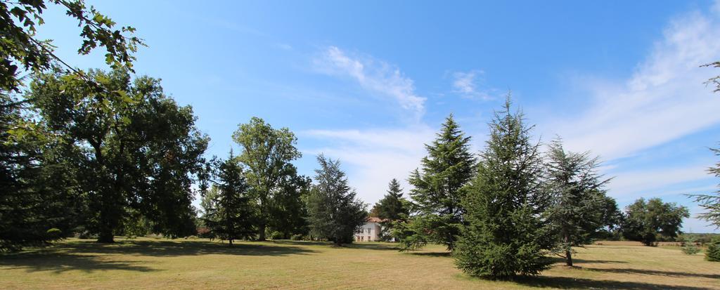 La Frejade Bed and Breakfast Lisle-sur-Tarn Buitenkant foto